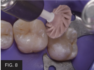 Dr. McClintock Class II Protocol article - FIG 8